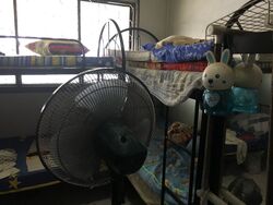 Jurong West Street 41 (Jurong West),  #393973531